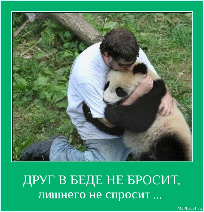 ДРУГ В БЕДЕ НЕ БРОСИТ, лишнего не спросит ... 