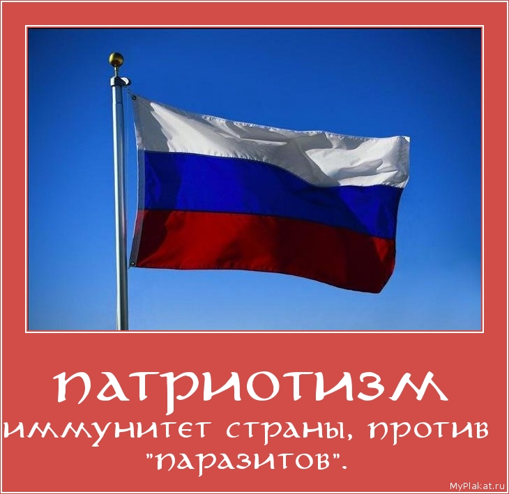 ПАТРИОТИЗМ иммунитет страны, против "паразитов".