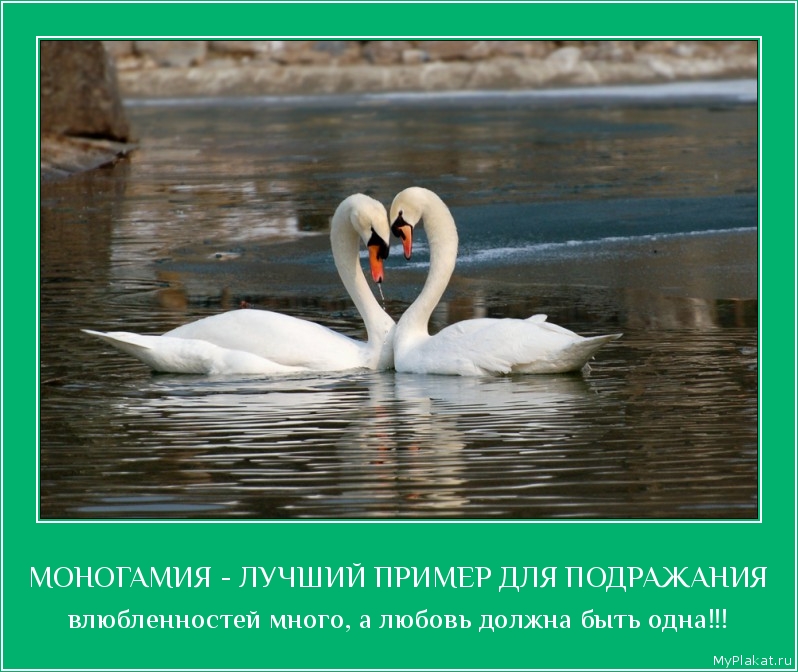 МОНОГАМИЯ - ЛУЧШИЙ ПРИМЕР ДЛЯ ПОДРАЖАНИЯ влюблённостей много, а любовь должна быть одна!!!