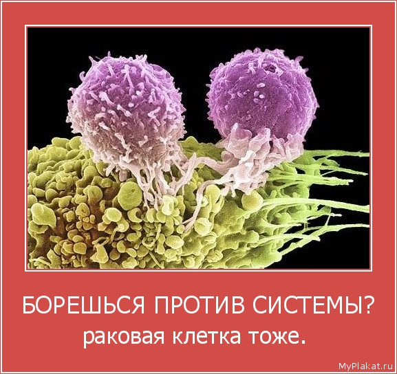 БОРЕШЬСЯ ПРОТИВ СИСТЕМЫ? раковая клетка тоже. 