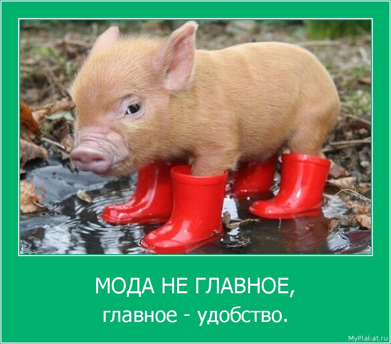 МОДА НЕ ГЛАВНОЕ, главное - удобство.