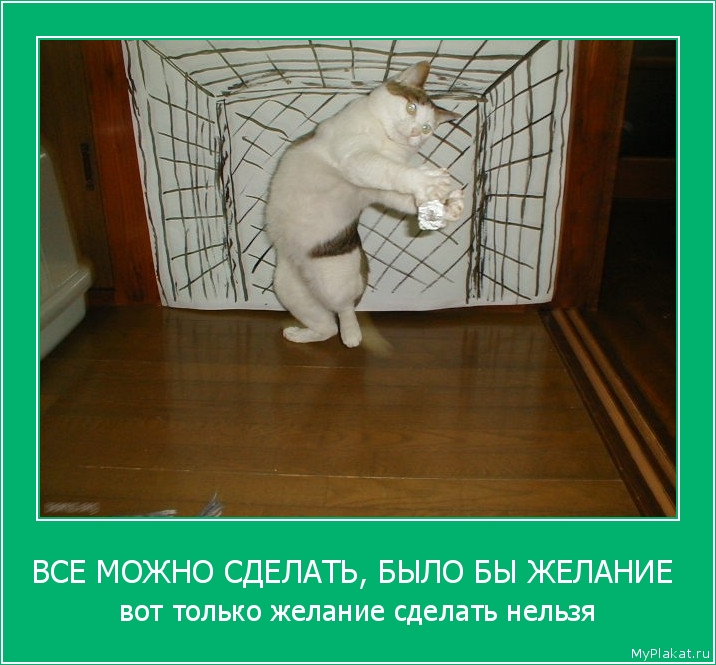 ВСЕ МОЖНО СДЕЛАТЬ, БЫЛО БЫ ЖЕЛАНИЕ  вот только желание сделать нельзя