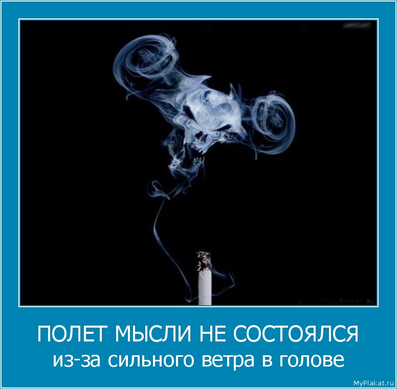 ПОЛЕТ МЫСЛИ НЕ СОСТОЯЛСЯ из-за сильного ветра в голове