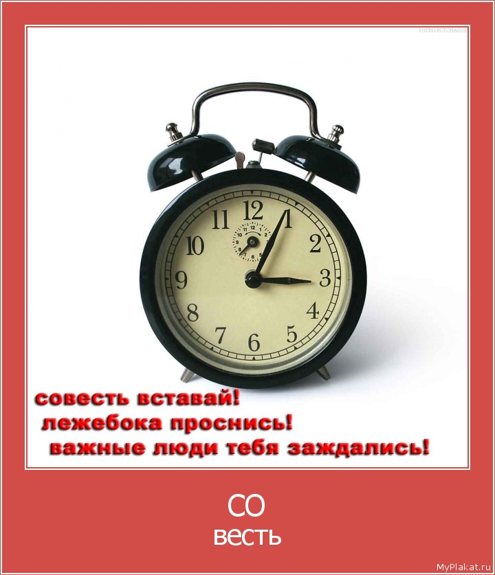 СО весть