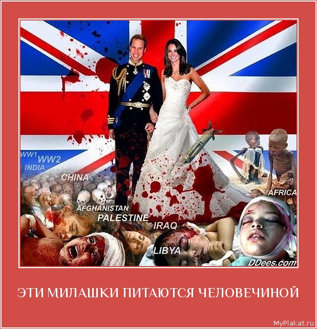ЭТИ МИЛАШКИ ПИТАЮТСЯ ЧЕЛОВЕЧИНОЙ 