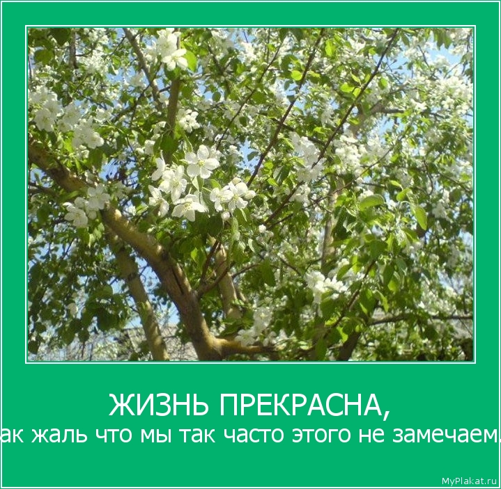 ЖИЗНЬ ПРЕКРАСНА, как жаль что мы так часто этого не замечаем.