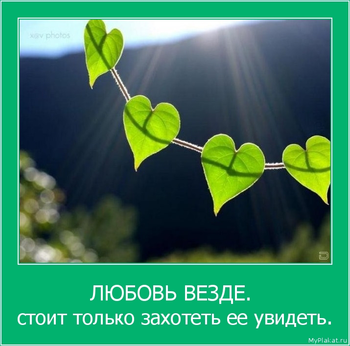 ЛЮБОВЬ ВЕЗДЕ.  стоит только захотеть ее увидеть.