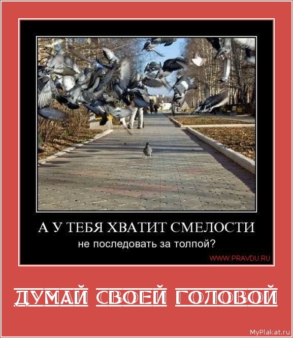 ДУМАЙ СВОЕЙ ГОЛОВОЙ 