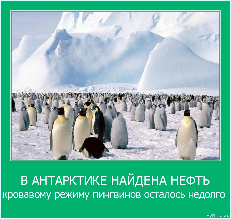 В АНТАРКТИКЕ НАЙДЕНА НЕФТЬ кровавому режиму пингвинов осталось недолго