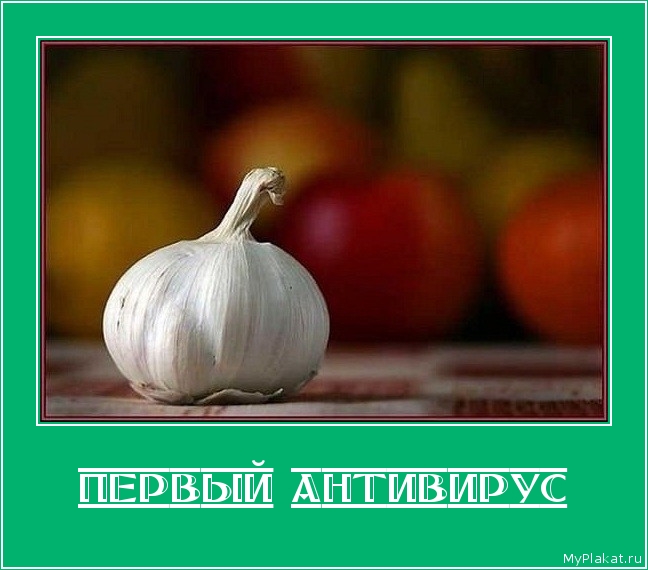 ПЕРВЫЙ АНТИВИРУС 