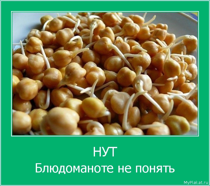 НУТ Блюдоманоте не понять
