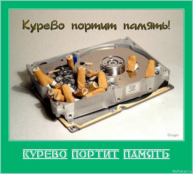 КУРЕВО ПОРТИТ ПАМЯТЬ 