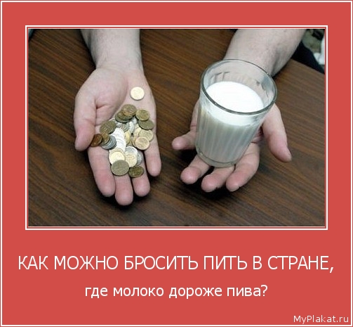 КАК МОЖНО БРОСИТЬ ПИТЬ В СТРАНЕ, где молоко дороже пива?
