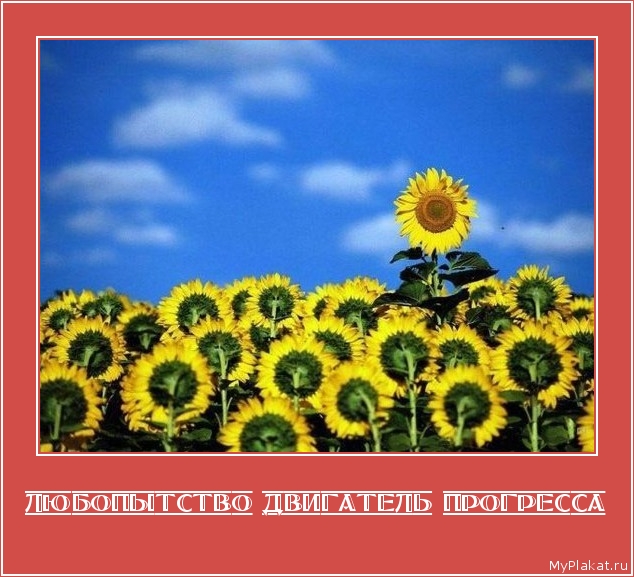 ЛЮБОПЫТСТВО ДВИГАТЕЛЬ ПРОГРЕССА 