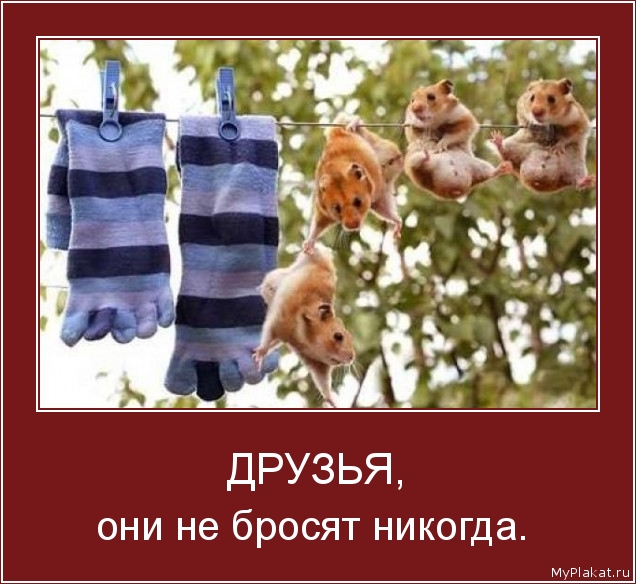 ДРУЗЬЯ, они не бросят никогда. 