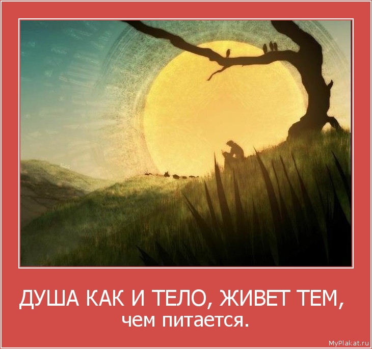 ДУША КАК И ТЕЛО, ЖИВЕТ ТЕМ,  чем питается.