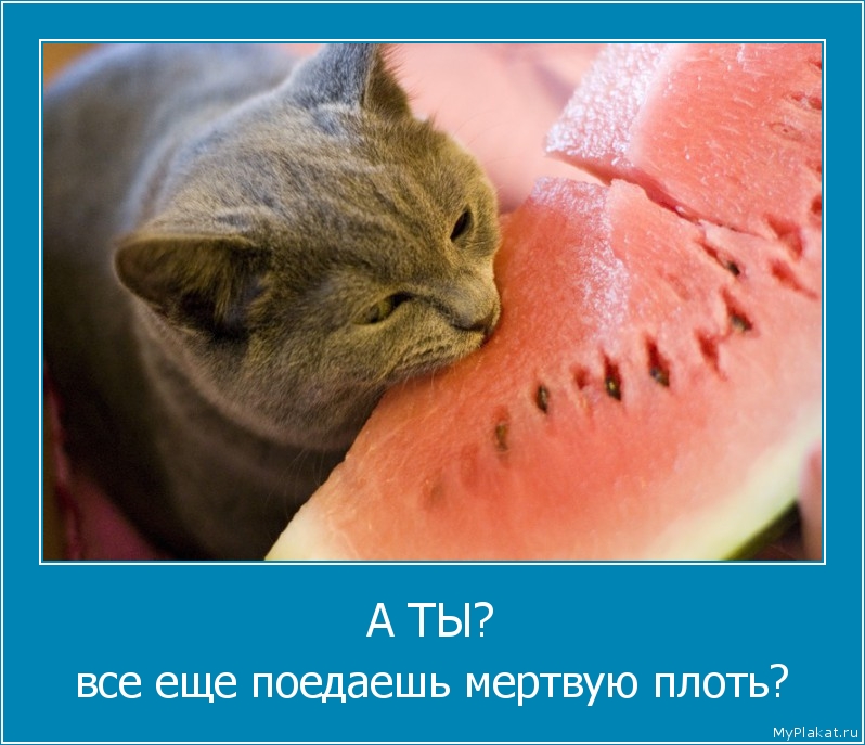 А ТЫ? всё ещё поедаешь мёртвую плоть?