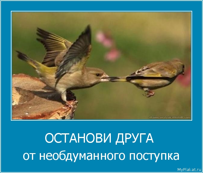 ОСТАНОВИ ДРУГА  от необдуманного поступка