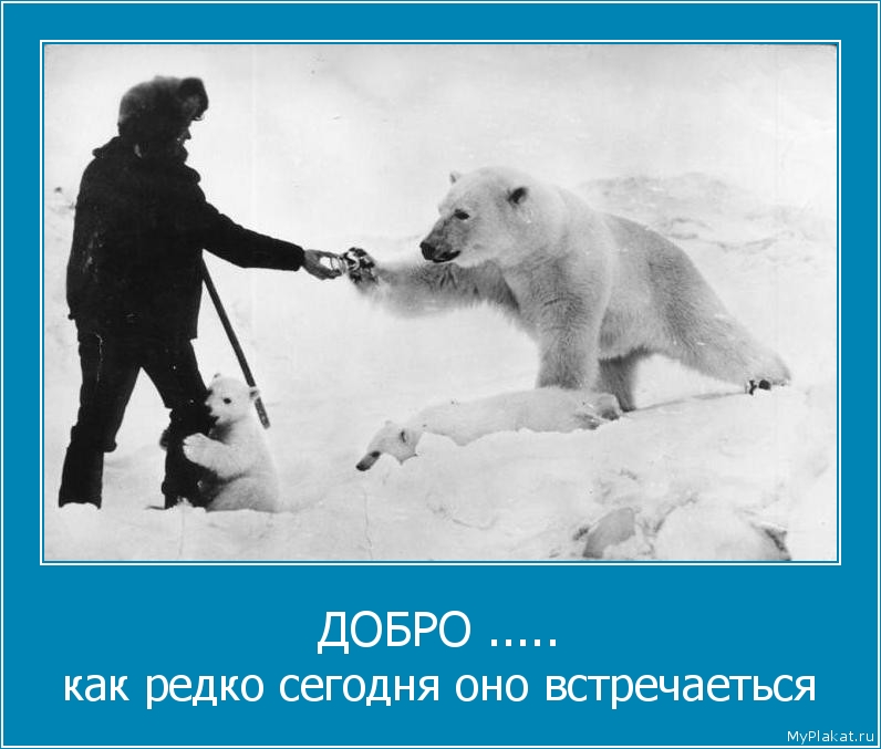 ДОБРО ..... как редко сегодня оно встречаеться