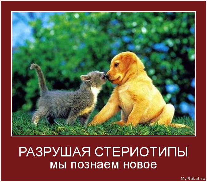 РАЗРУШАЯ СТЕРИОТИПЫ мы познаем новое