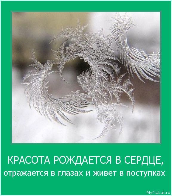 КРАСОТА РОЖДАЕТСЯ В СЕРДЦЕ, отражается в глазах и живет в поступках