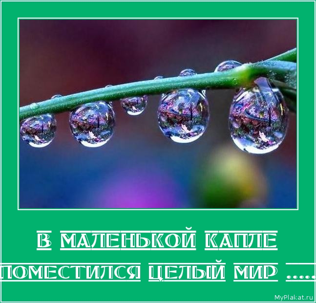 В МАЛЕНЬКОЙ КАПЛЕ поместился целый мир .....