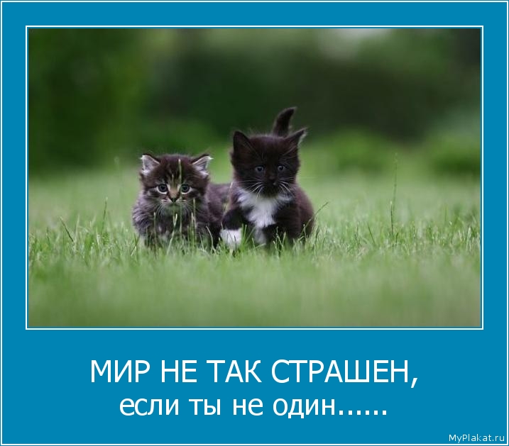 МИР НЕ ТАК СТРАШЕН, если ты не один......