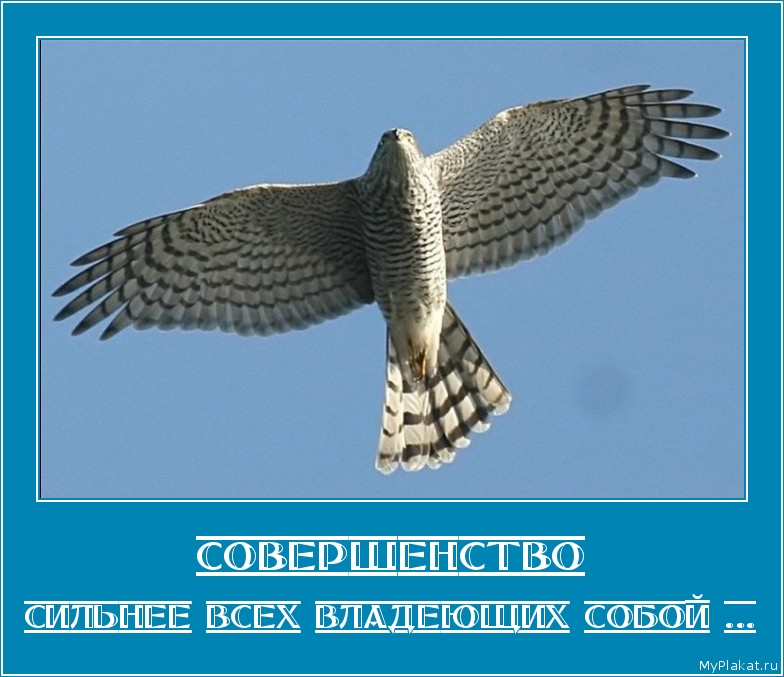 СОВЕРШЕНСТВО сильнее всех владеющих собой ...