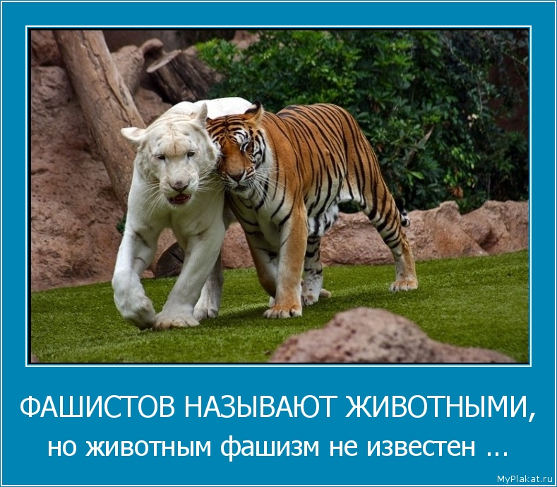 ФАШИСТОВ НАЗЫВАЮТ ЖИВОТНЫМИ, но животным фашизм не известен ...