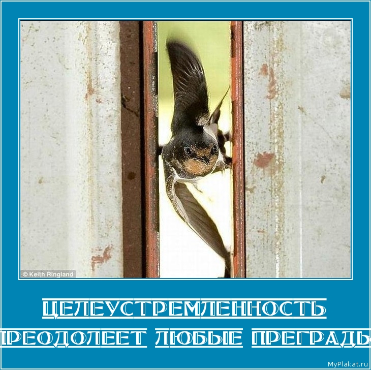 ЦЕЛЕУСТРЕМЛЕННОСТЬ преодолеет любые преграды
