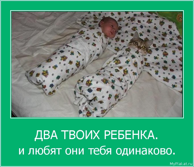 ДВА ТВОИХ РЕБЕНКА. и любят они тебя одинаково.