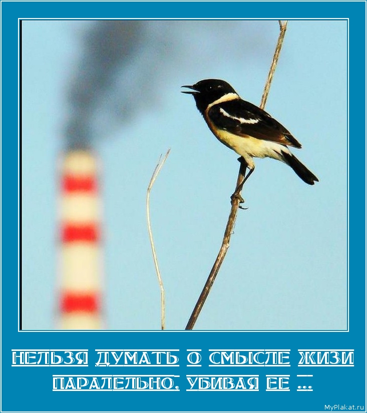 НЕЛЬЗЯ ДУМАТЬ О СМЫСЛЕ ЖИЗИ паралельно, убивая ее ...