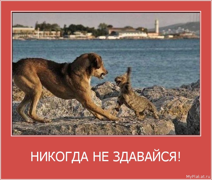 НИКОГДА НЕ ЗДАВАЙСЯ! 