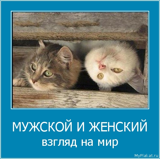 МУЖСКОЙ И ЖЕНСКИЙ взгляд на мир