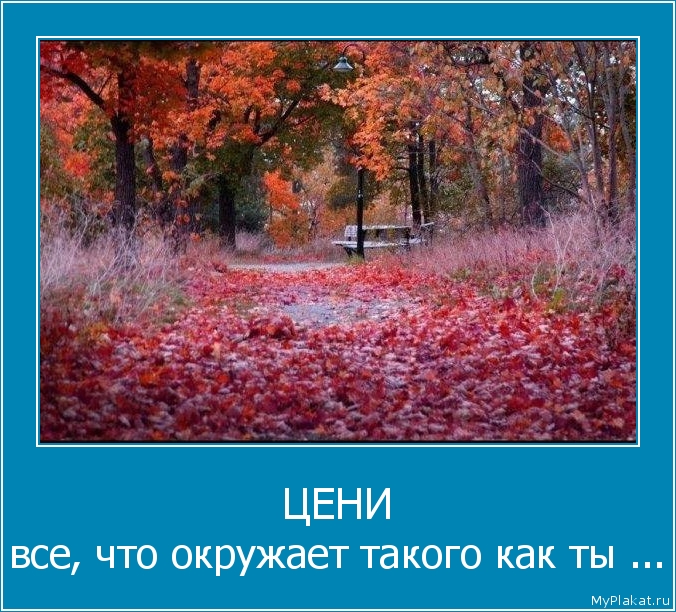 ЦЕНИ все, что окружает такого как ты ...