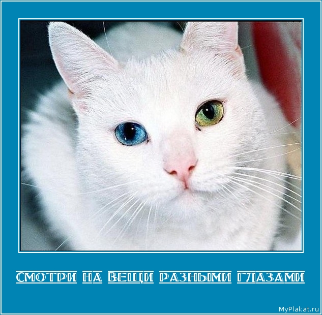 СМОТРИ НА ВЕЩИ РАЗНЫМИ ГЛАЗАМИ 