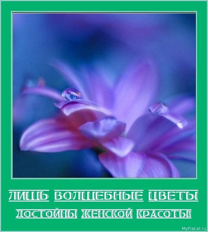 ЛИШЬ ВОЛШЕБНЫЕ ЦВЕТЫ достойны женской красоты!