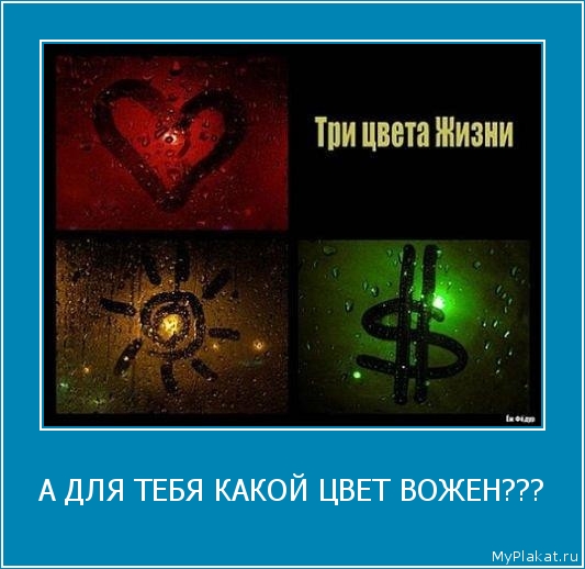 А ДЛЯ ТЕБЯ КАКОЙ ЦВЕТ ВОЖЕН??? 