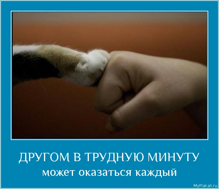 ДРУГОМ В ТРУДНУЮ МИНУТУ может оказаться каждый