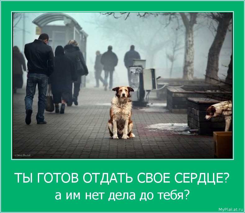 ТЫ ГОТОВ ОТДАТЬ СВОЕ СЕРДЦЕ? а им нет дела до тебя?