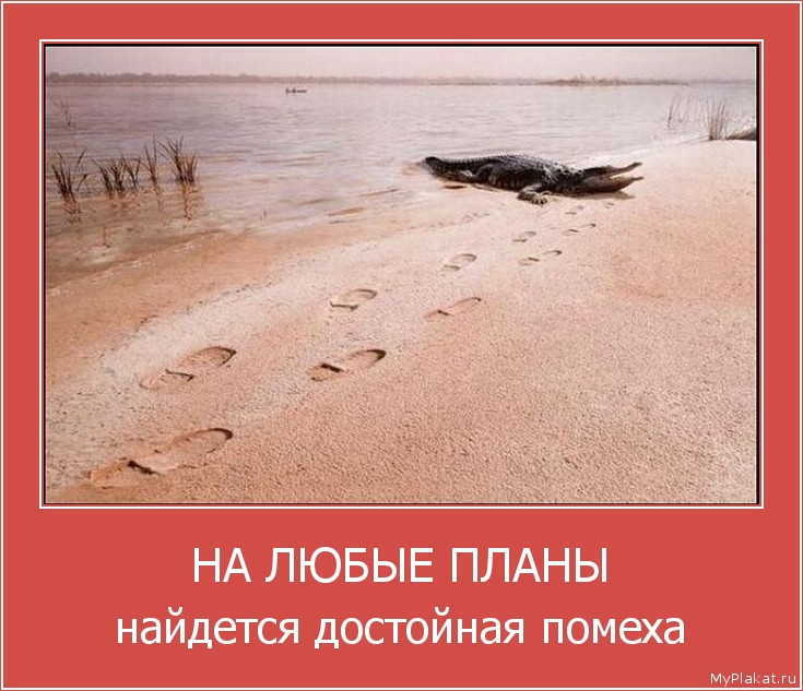 НА ЛЮБЫЕ ПЛАНЫ найдется достойная помеха