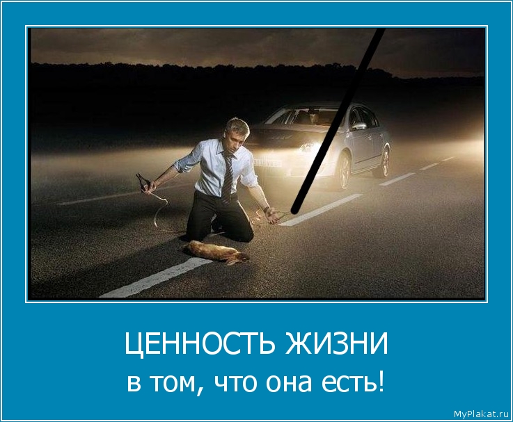 ЦЕННОСТЬ ЖИЗНИ в том, что она есть!