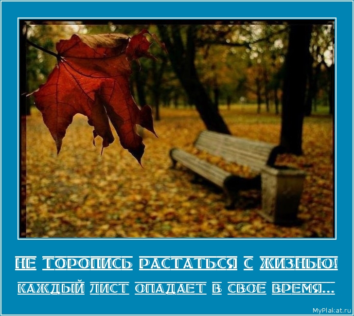 НЕ ТОРОПИСЬ РАСТАТЬСЯ С ЖИЗНЬЮ! каждый лист опадает в свое время...