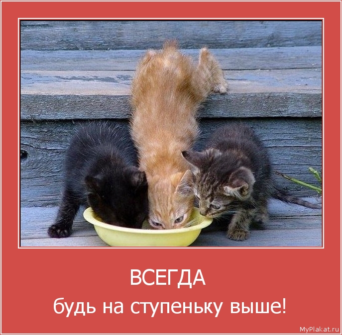 ВСЕГДА  будь на ступеньку выше!