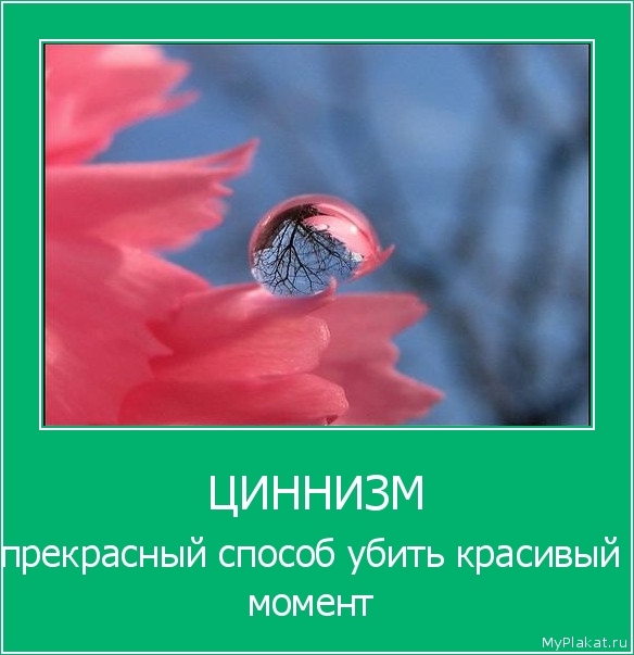 ЦИННИЗМ прекрасный способ убить красивый момент