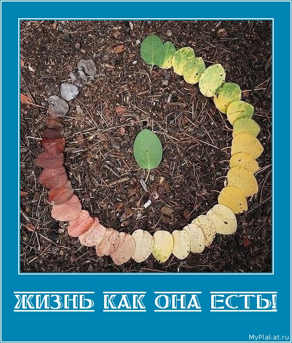 ЖИЗНЬ КАК ОНА ЕСТЬ! 