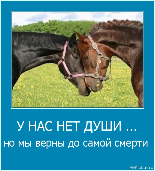 У НАС НЕТ ДУШИ ... но мы верны до самой смерти