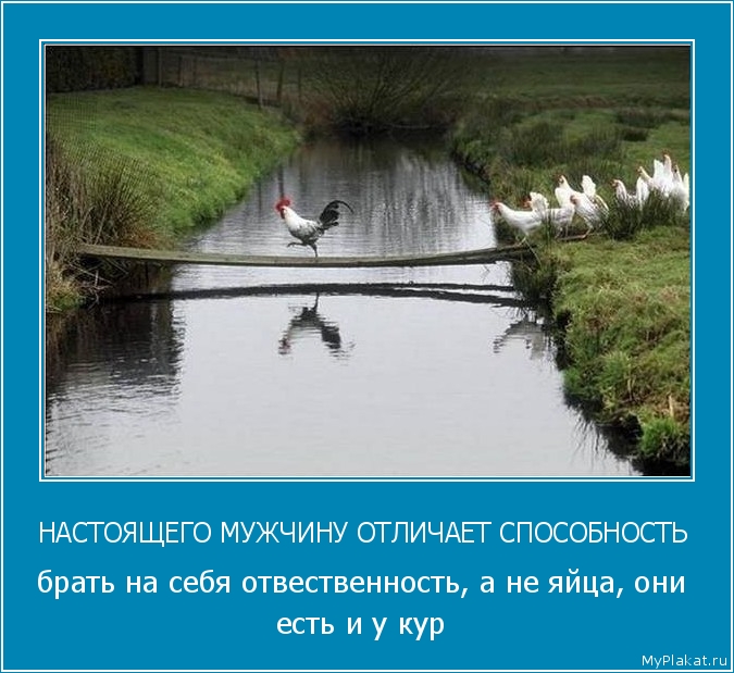 НАСТОЯЩЕГО МУЖЧИНУ ОТЛИЧАЕТ СПОСОБНОСТЬ  брать на себя отвественность, а не яйца, они есть и у кур