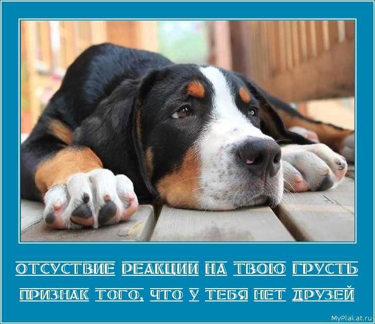 ОТСУСТВИЕ РЕАКЦИИ НА ТВОЮ ГРУСТЬ признак того, что у тебя нет друзей
