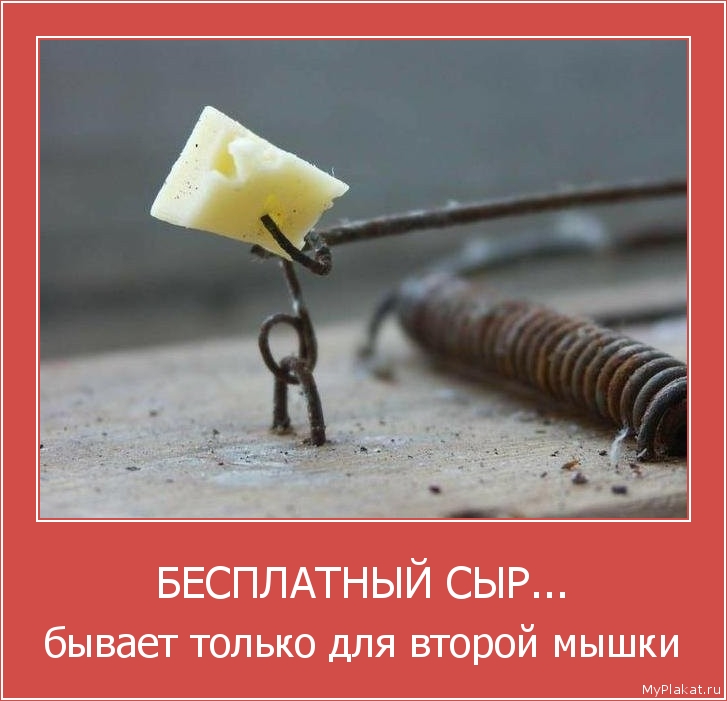 БЕСПЛАТНЫЙ СЫР... бывает только для второй мышки
